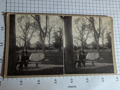 29. Large Format, Lexington Commons, Lexington, Mass
