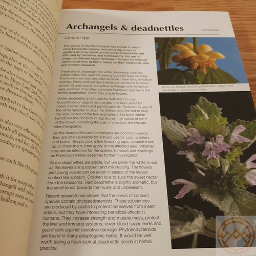 The Herbalists Bible Book Lost Classic 82 Herbs Medicinal Features Comprehensive - Picture 10 of 12