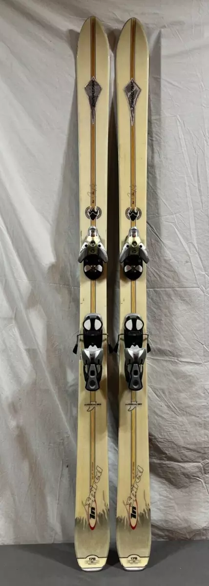 Dynastar Inspired 178cm 117 89 110 Nobis Pro Model Skis Salomon