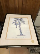 banana KEW ROYAL BOTANIC 14.5x18 tree bananier Print art Stamp London Rare Mark