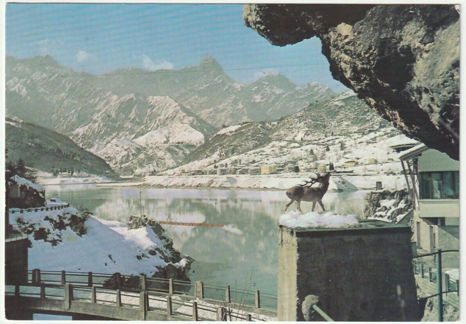 Foto 1 di 1