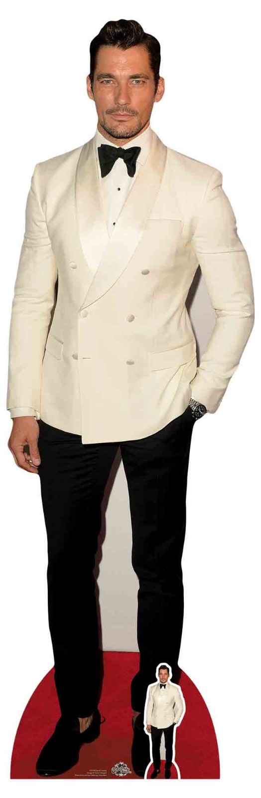 David Gandy Celebrity Lifesize and Mini Cardboard Cutout / Standup / Standee