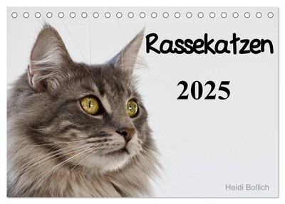 Rassekatzen 2025 (Tischkalender 2025 DIN A5 quer), CALVENDO Monatskalender