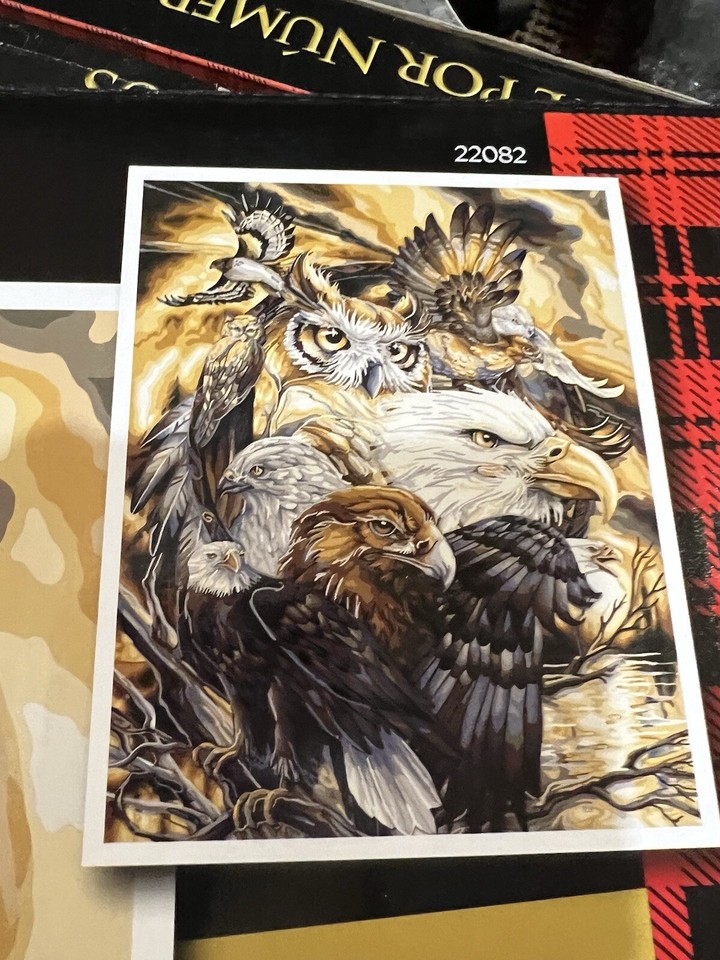 Rare Plaid Paint By Number Sky Kings 22082 Painting Kit 20x16 New Old