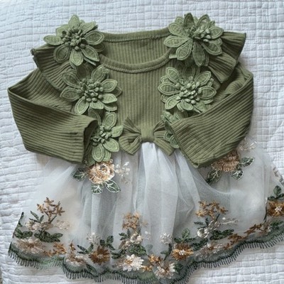 Green Floral Long Sleeve Tutu Dress with Tulle Skirt, Embroidered Lace, Girls