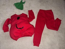 Mr. Ridiculously Good Book Heinz Mr. Men Rare Kids Full Costume Age 4-6