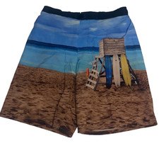 Wonder Nation Boys Swim Trunks XL 14-16 Husky Beach Surfboard Print Blue