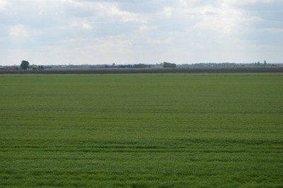 Foto 6x4 Unter dem Meeresspiegel Plantage Fm\/TL6484 c2017