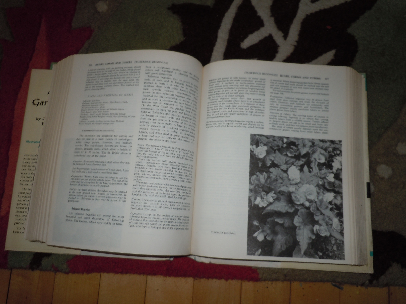 Picture 6 of 10