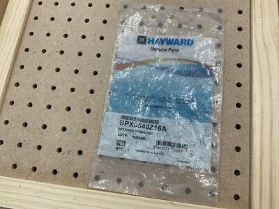 Hayward SPX0540Z16A Face Rim Lockscrew with Fastener
