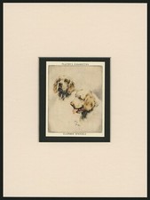 CLUMBER SPANIEL VINTAGE 1930 COLLECTABLE DOG ART CARD READY MOUNTED GREAT GIFT 