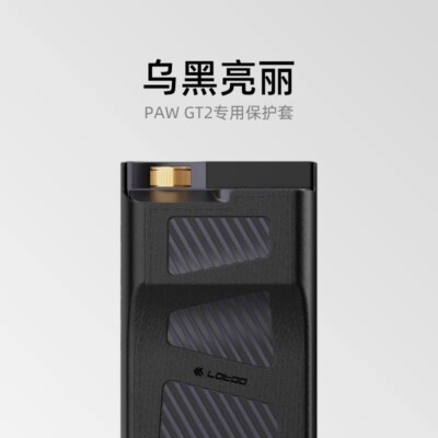 Leather Case For Lotoo PAW GOLD TOUCH 2 GT2 | eBay