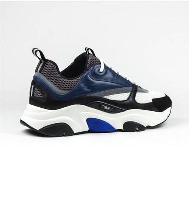 dior b22 white and blue trainer