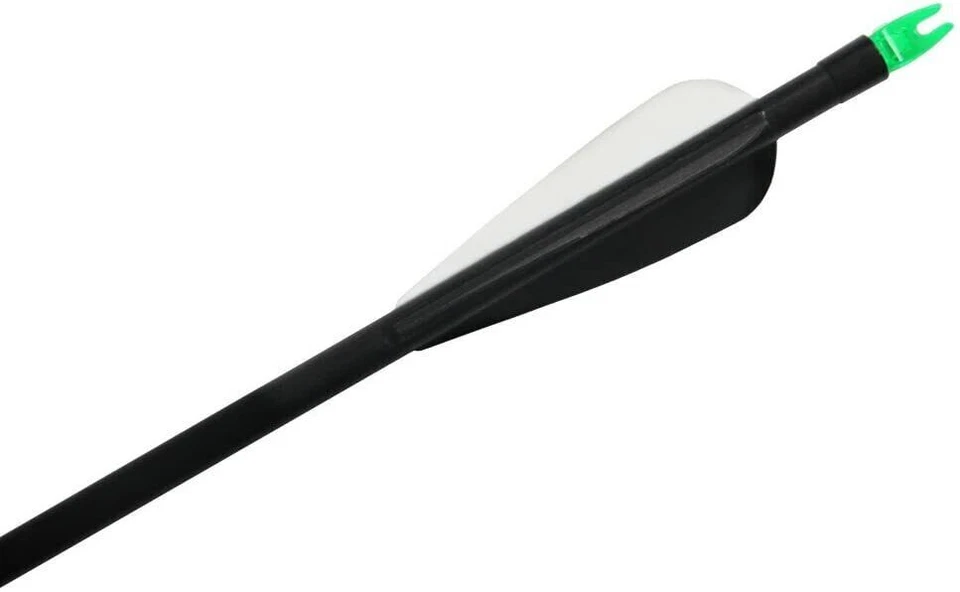 12Pcs 31" Fiberglass Arrows Replaceable Point Explosion-proof Nock Compound bow - Image 4 of 4