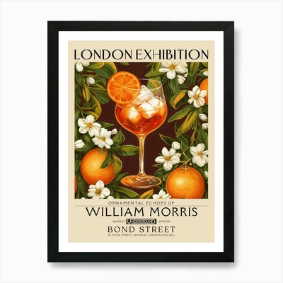 Aperol Spritz cocktail print Willia Framed Wall Art Poster Canvas Print Picture