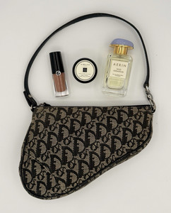 Dior Trotter | eBay