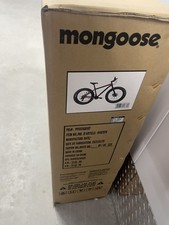 eBay Auction Picture