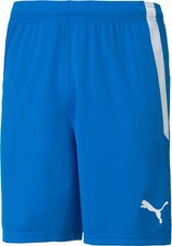 Puma Team Liga 25 Soccer Training Short kids Electric Blue  70493102