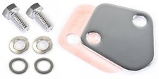 Jegs Chrome Fuel Pump Block-off Plate