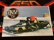    80 ARCTIC CAT SNO-PRO Snowmobile Poster vi...