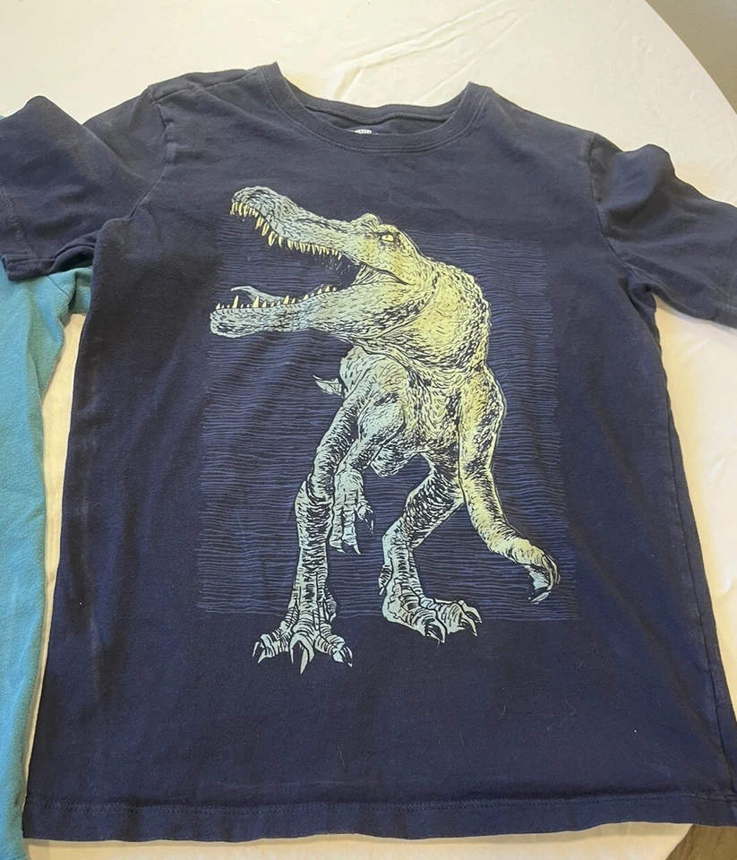 Camiseta Carter's Dinosaurio Niños Top Azul Talla 12 Niños Conjunto De 2 Amantes Prehistóricos Foto 3 de 4