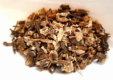 Angelica Root Wild Crafted Dried Cut / 2oz Freshly Packed USA / 10% OFF 2+