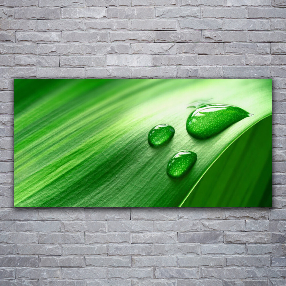 Photo sur toile tableau image impression 120x60 floral feuille eau gouttes pour mur