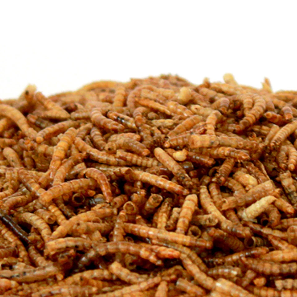 Vogelfutter Mehlwürmer getrocknet Fischfutter Koi Vögel Liter Gartenvögel - Bild 2 von 3