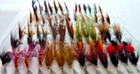Bild 3 von 7