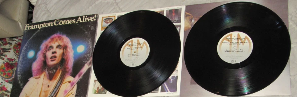 ROCK LP LOT/AMERICA/J. GEILS BAND/FRAMPTON/LITTLE FEAT/BREAD/TRAFFIC/BOB SEGER++ Foto 3 de 4