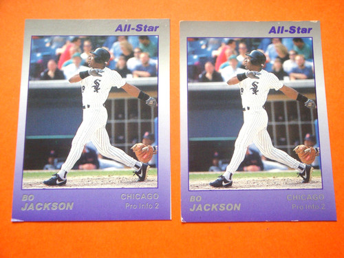 Bo Jackson [Baseball, Football] #88 1991 Star Home Run Series card