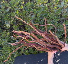 Aquarium Fish Tank Terrarium Aquascape Manzanita Roots 12"- 20" 20 Pieces
