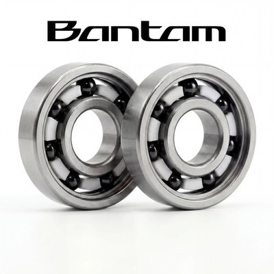 RL-TNG APEX Spulenlager Set für Shimano Bantam