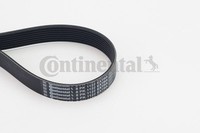 Keilrippenriemen Continental Ctam 8PK1122 Extra FÜR Alpina BMW Poly V Riemen