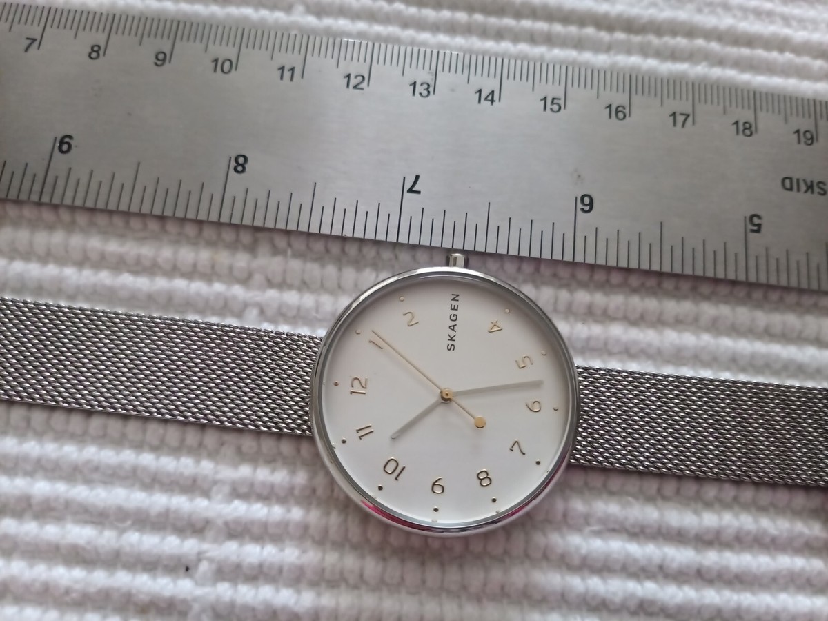 Skagen Watch