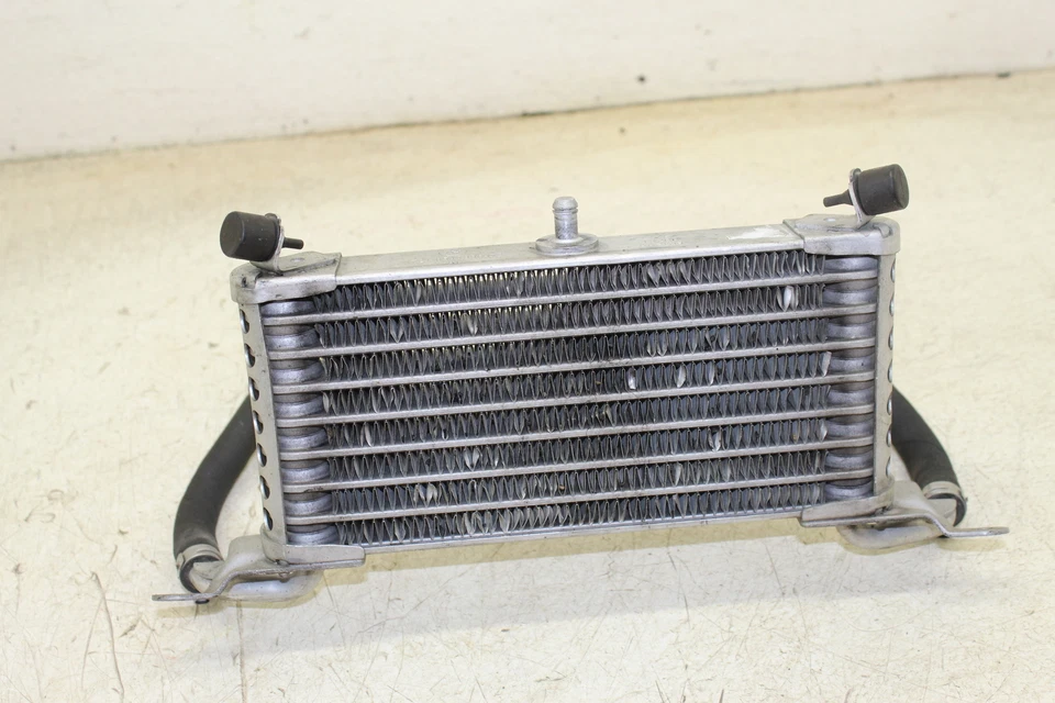 BMW S1000RR 2012 OEM motor enfriador de aceite P3 Foto 3 de 4