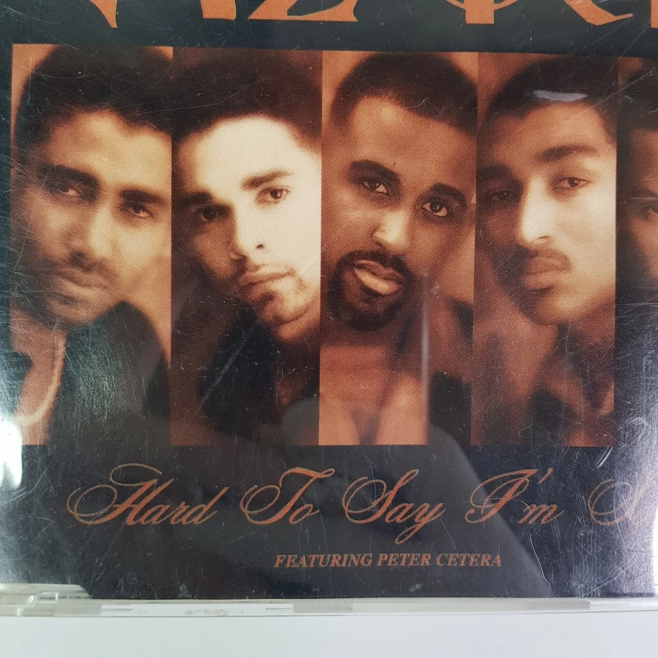 Az Yet Hand To Day Im Sorry Peter Cetera David Foster Remix Edt Album Music CD - Image 2 of 4