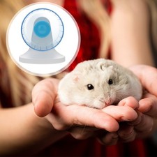 1pc Creative Hamster Running Wheel Hamster Running Wheel for Hamster (Blue)