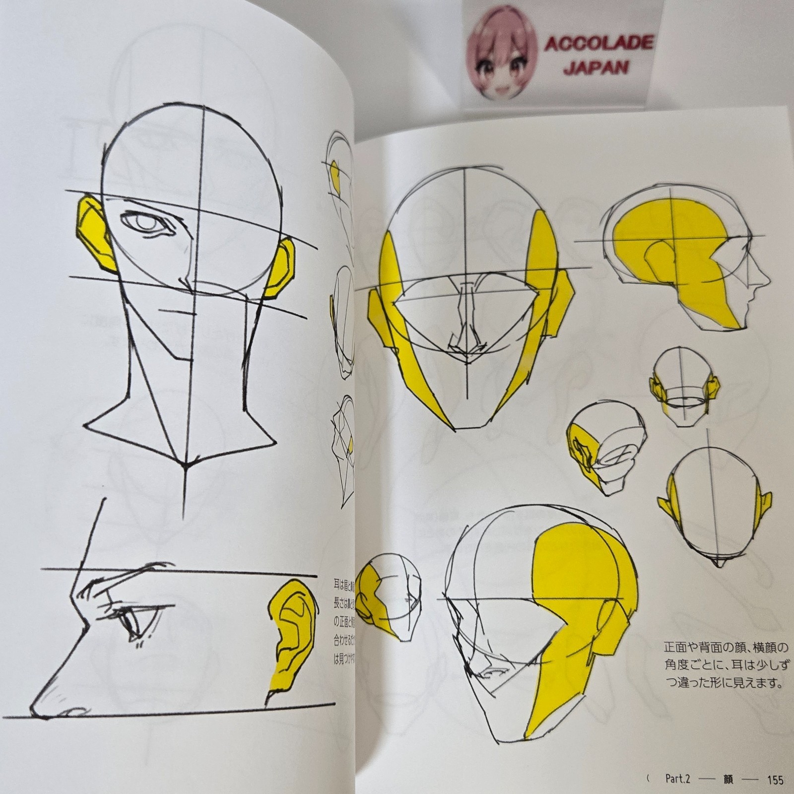 Directly from TACO! 390 tips for dramatically improving your human body drawing