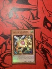 Droll & Lock Bird MAGO-EN006 Maximum Gold Yu-Gi-Oh 1st Edition NM