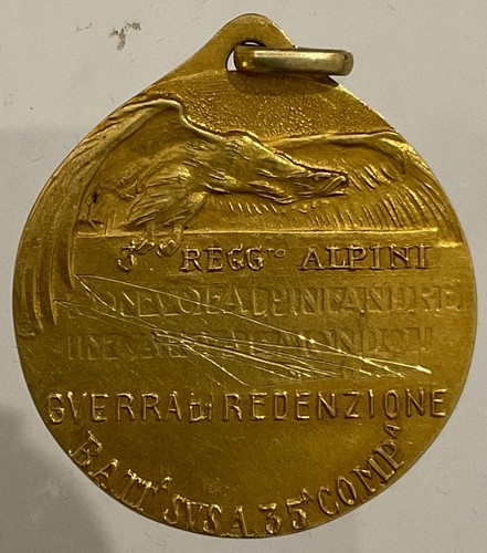 ALPINI 3° REGGIMENTO BATTAGLIONE SUSA 35a COMPAGNIA MED. IN ORO 1a G.M 1915.1918 - Picture 6 of 6