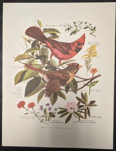 Impresiones de pájaros de Arthur Singer - Imagen 5 de 9