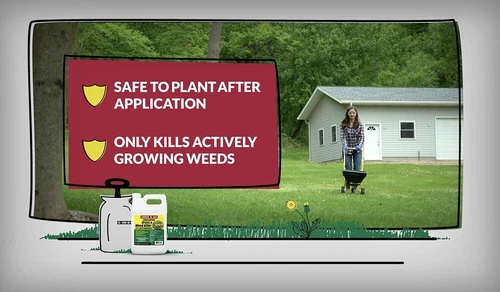 Compare N Save Grass and Weed Killer - Thumbnail 5