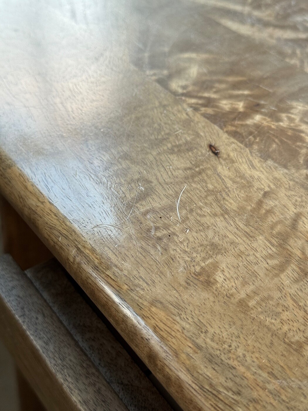 Swoon Edition Ginsberg Desk eBay