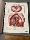 Foto 7 di 9