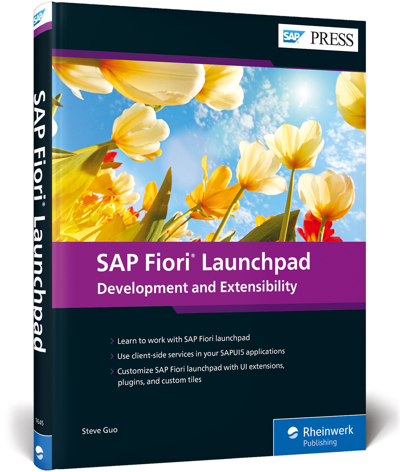 Thumbnail - Steve Guo / Sap Fiori Launchpad