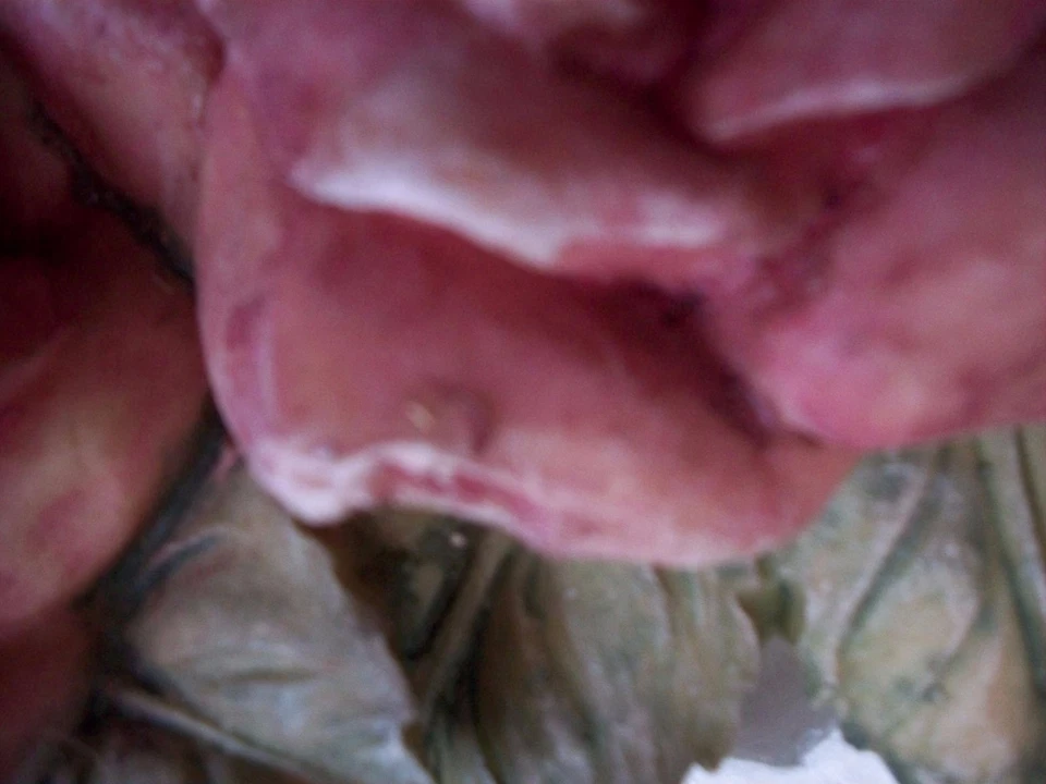 玫瑰墙面/窗户口音(破旧别致)外观 — 第 4/4 张图片