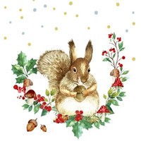 20 Servietten Forest Squirrel EichhöRnchen Tiere BläTterkranz Wald Pilze 33X33Cm