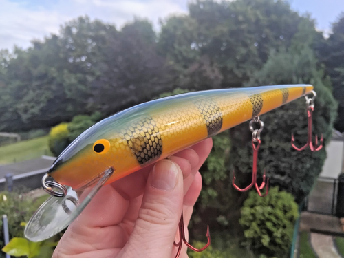 Alter Wobbler Nils Master Invincible 25cm 10 zoll Real Perch Uistin Finlandia
