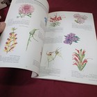Picture 15 of 22